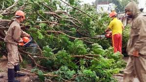 ସାତଦିନ ଭିତରେ କ୍ଷତିପୂରଣ